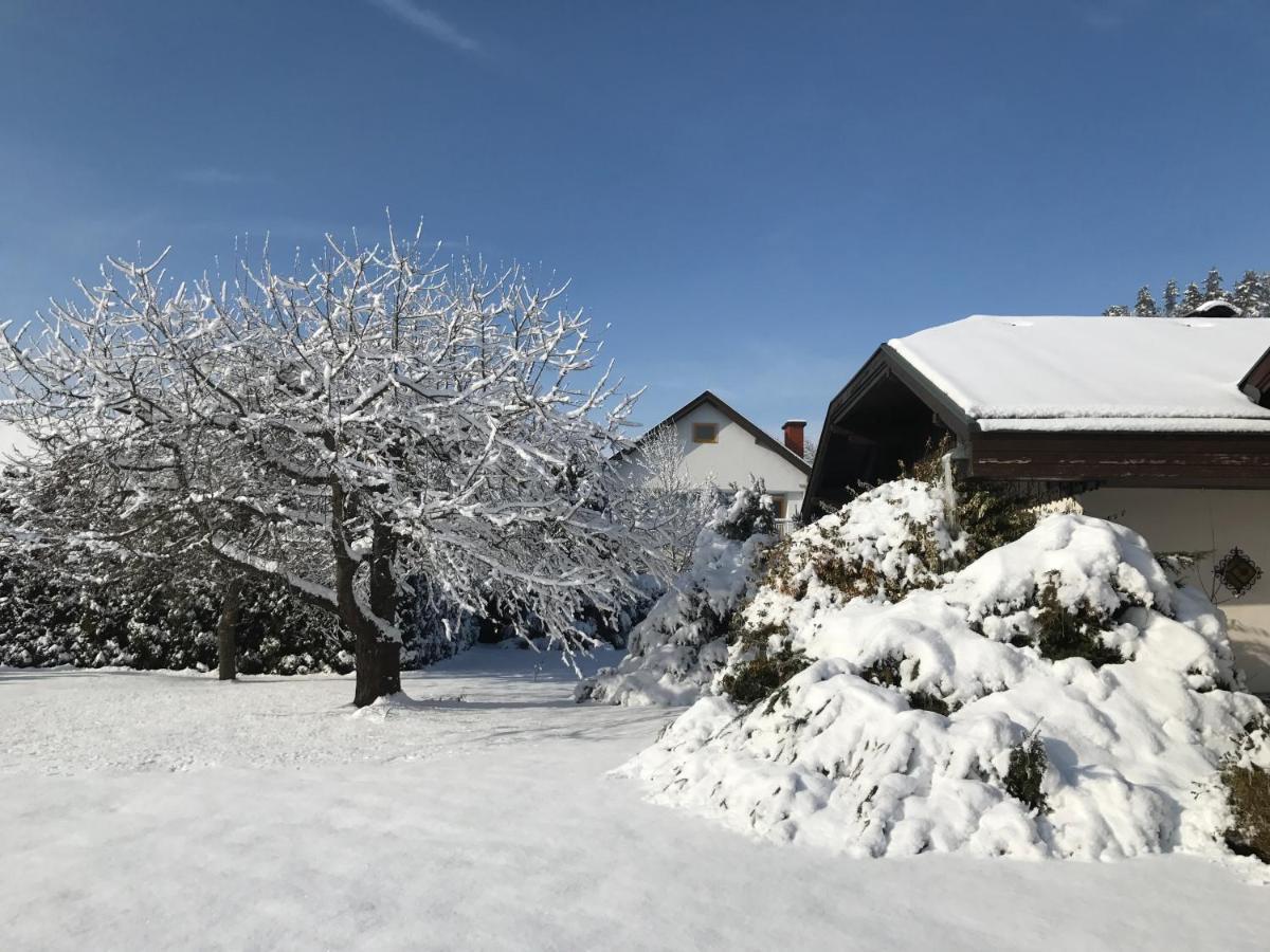V Gemuetliches Gartenhaus Smihel nad Pliberkom エクステリア 写真